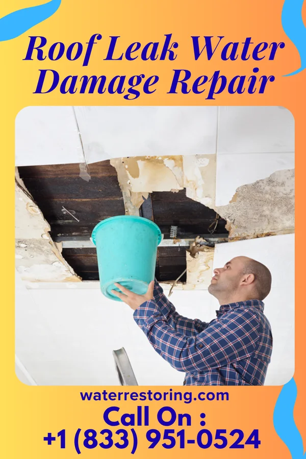 Roof Leak Water Damage Repair in Wallace, FL